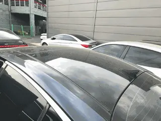 K5 현황 사진 5