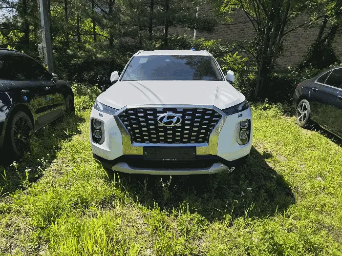 팰리세이드