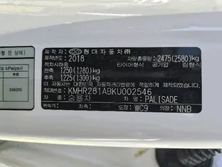 팰리세이드 현황 사진 13