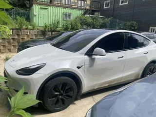 Model Y RWD 현황 사진 1