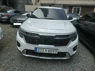셀토스 현황 사진 4