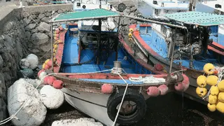 차량 사진