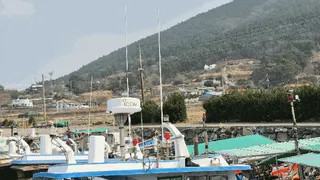 — 현황 사진 6
